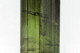 Terminated Green Tourmalines w/ Parallel Growth - Brazil #209798-2